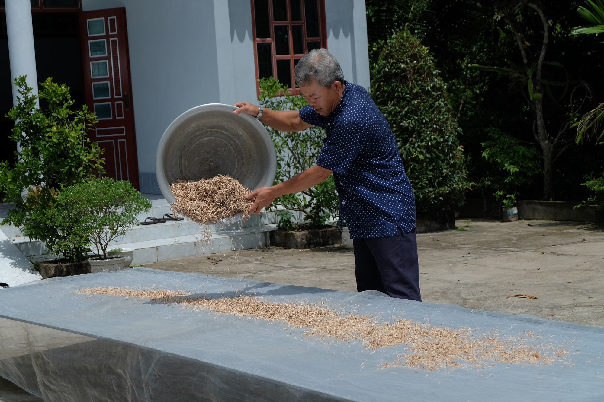 Biến tr&aacute;i m&atilde;ng cầu xi&ecirc;m gi&aacute; cả bấp b&ecirc;nh th&agrave;nh &ldquo;thần dược&rdquo; - Ảnh 2.