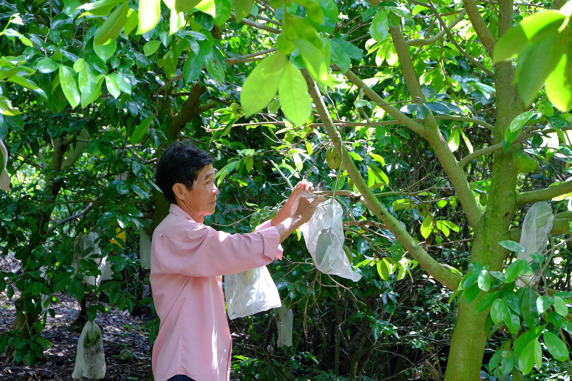 Biến tr&aacute;i m&atilde;ng cầu xi&ecirc;m gi&aacute; cả bấp b&ecirc;nh th&agrave;nh &ldquo;thần dược&rdquo; - Ảnh 6.