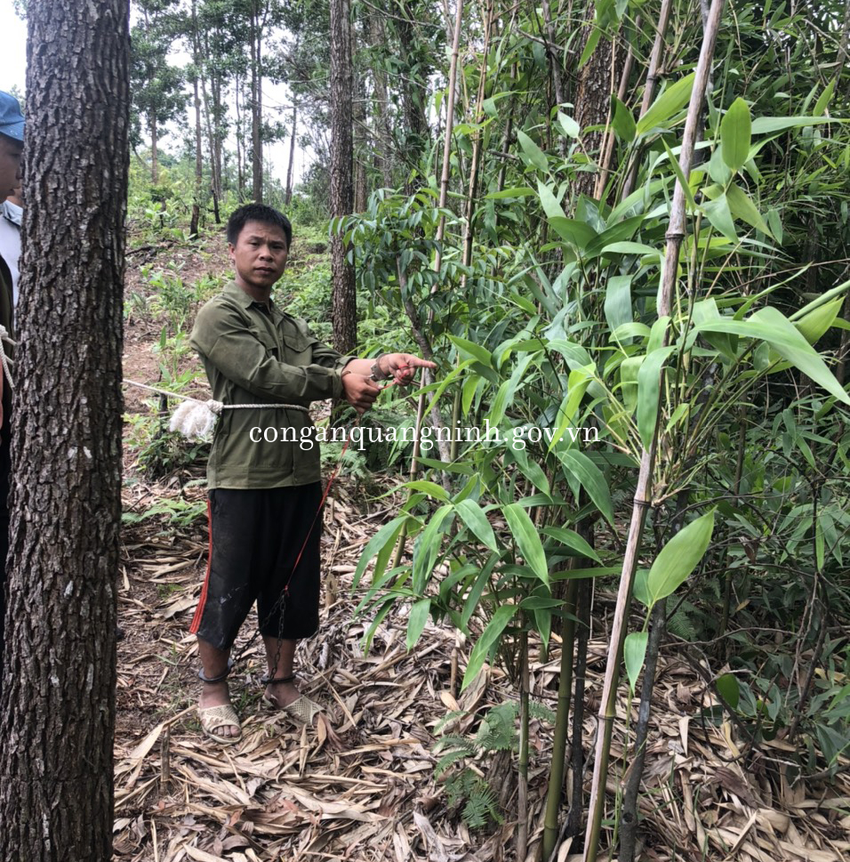 Lạc lối b&ecirc;n t&igrave;nh trẻ, người vợ c&ugrave;ng t&igrave;nh nh&acirc;n s&aacute;t hại chồng d&atilde; man - Ảnh 2.