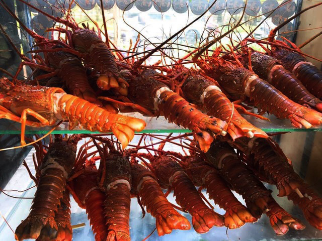 Bỏ lương nghìn đô ở sân bay, 9x Khánh Hòa về bán tôm hùm thu lãi khủng - Ảnh 2.