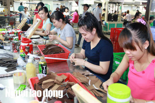 Từ 1-1-2021: Kh&ocirc;ng c&ograve;n hợp đồng lao động theo m&ugrave;a vụ - Ảnh 2.