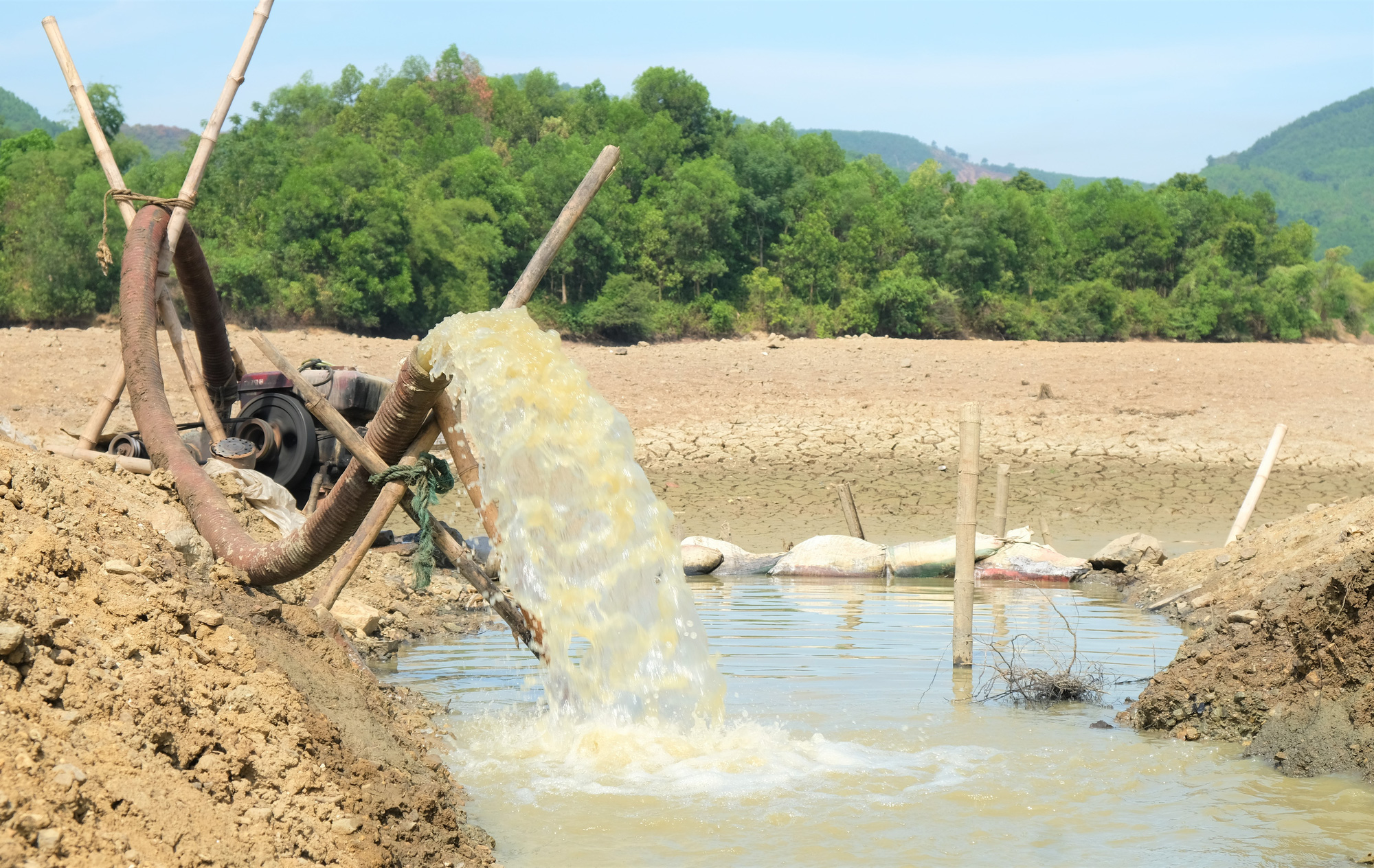 Hàng ngàn ha ruộng bỏ không vì nắng hạn kỷ lục kéo dài