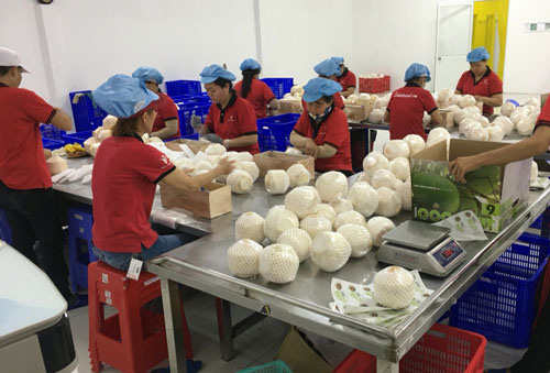 Xoay trở trong "mùa" dịch Covid-19 (*): Nông sản trụ tốt nhờ nhiều cách