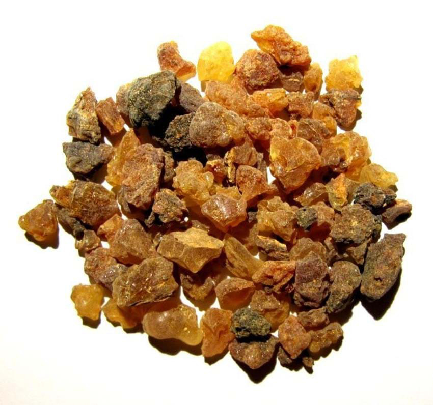 Nước hoa của Nữ hoàng Cleopatra - Ảnh 4.