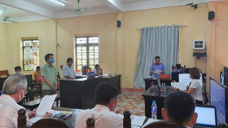 Chặt cây người khác trên đất có sổ đỏ của mình, chủ doanh nghiệp lĩnh án tù treo