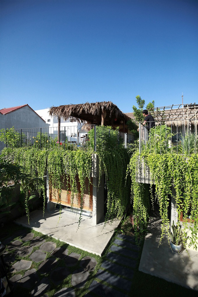 Nhà mái tranh giữa phố thị - Ảnh 2.