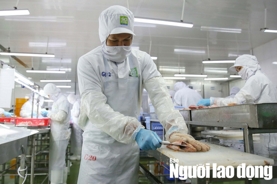 Tuổi nghỉ hưu của lao động nam, nữ từ ngày 1-1-2021 - Ảnh 1.