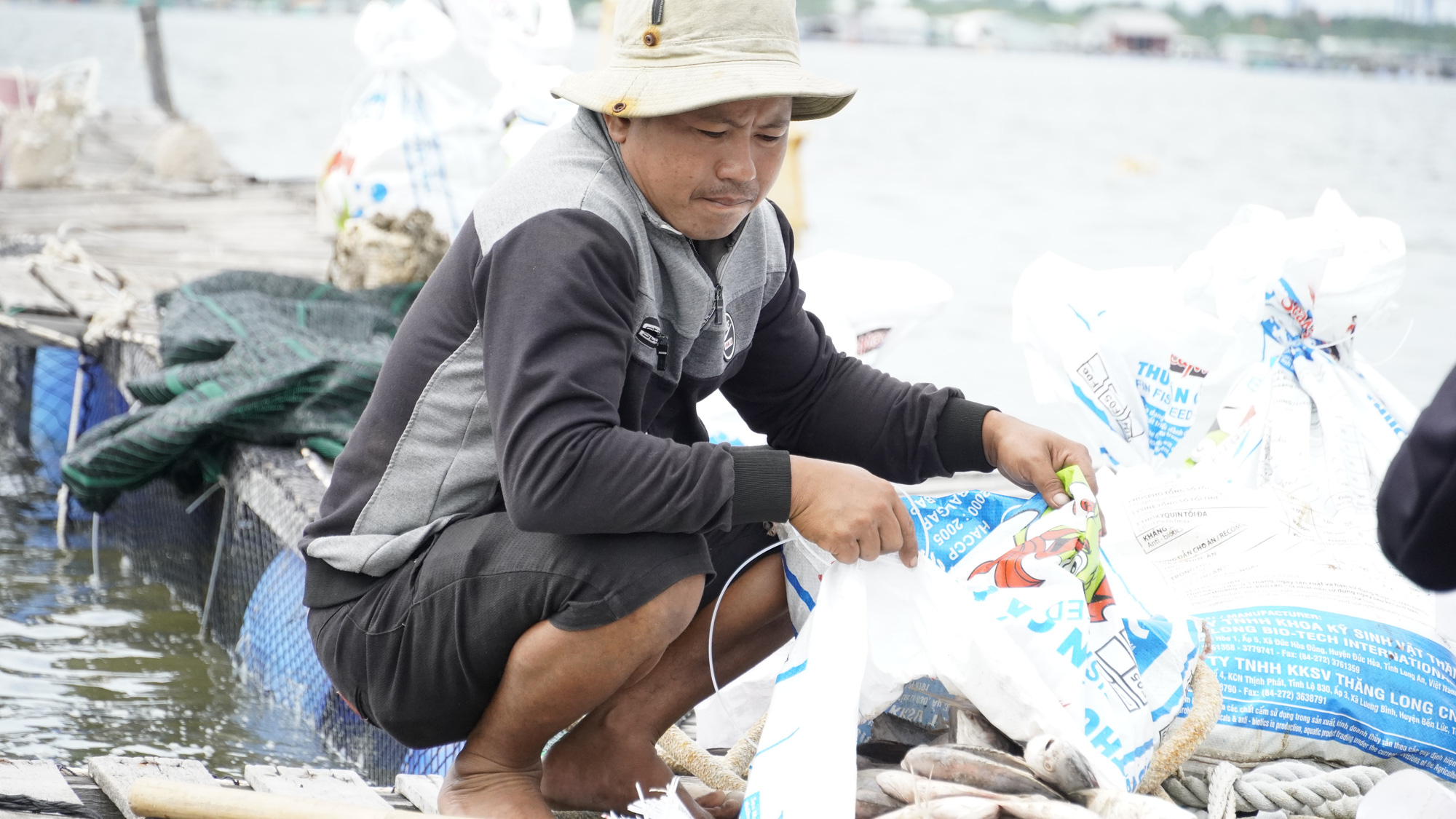 Cá chết bất thường ở sông Chà Và, người nuôi ôm nợ - Ảnh 1.