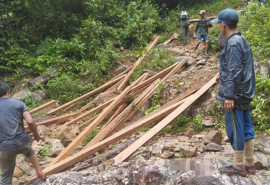 "Lâm tặc" ngang nhiên phá rừng phòng hộ, vận chuyển gỗ giữa ban ngày