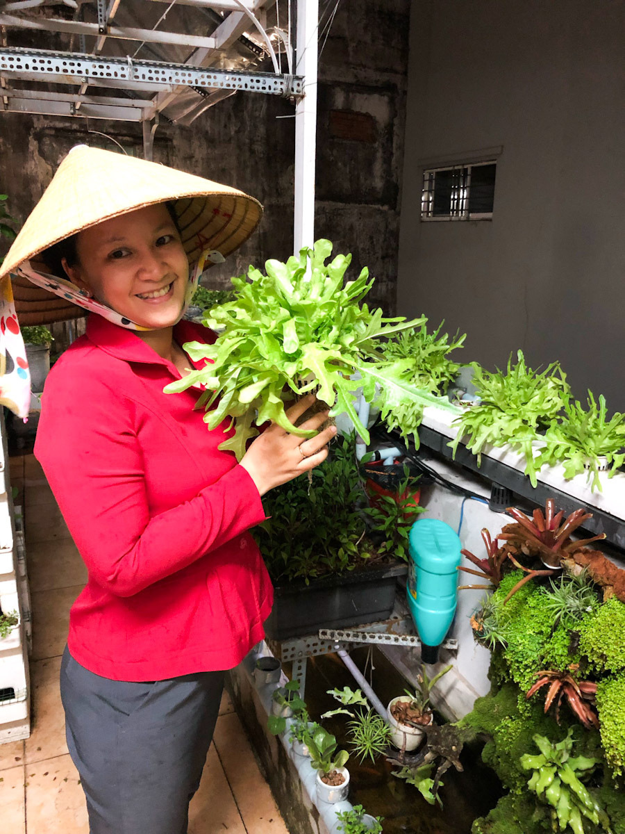 Ông bố nuôi cá và trồng rau trên mái nhà