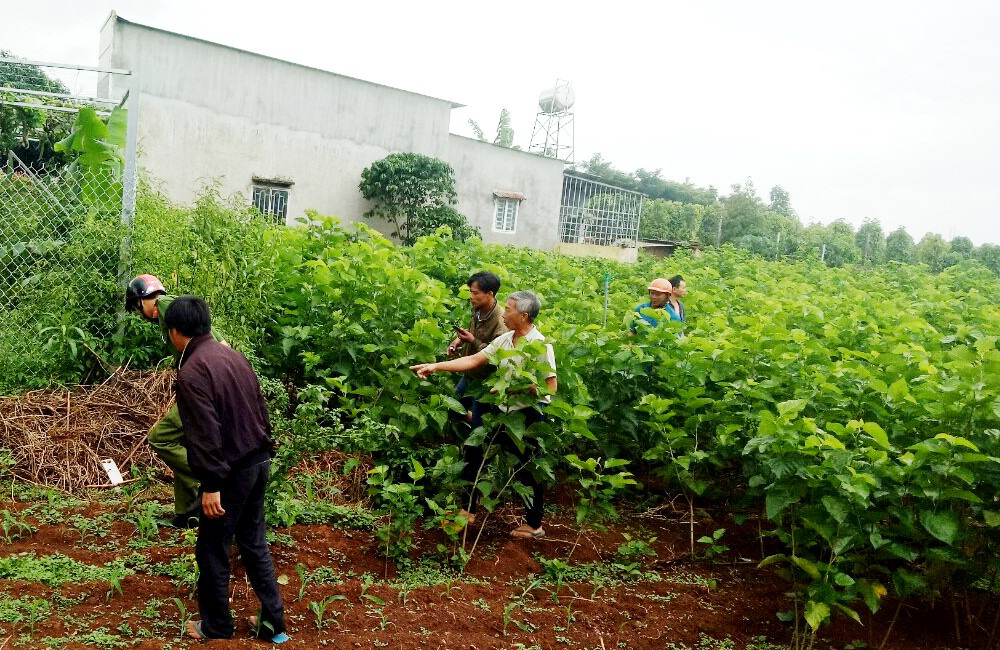 Nghi &aacute;n kẻ nghiện ma t&uacute;y s&aacute;t hại phụ nữ bại liệt cướp t&agrave;i sản - Ảnh 2.