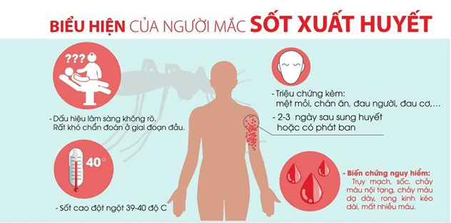 Thiếu ni&ecirc;n 17 tuổi mắc sốt xuất huyết tử vong do sợ Covid-19, tự truyền dịch tại nh&agrave; - Ảnh 2.