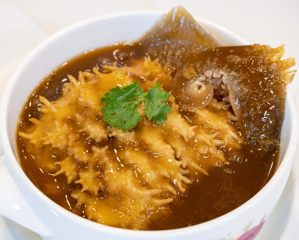 Thực hư về &ldquo;thuốc ti&ecirc;n&rdquo; hải s&acirc;m&hellip; - Ảnh 5.