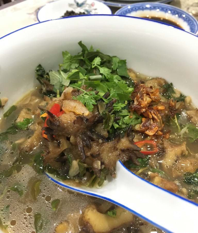 Thực hư về “thuốc tiên” hải sâm…