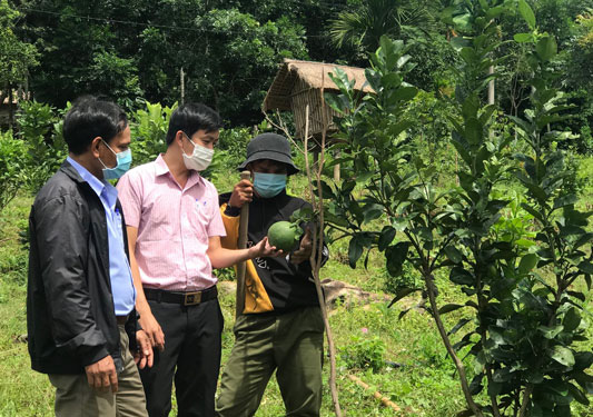 Đốt tiền tỉ ngân sách cho... thử nghiệm!