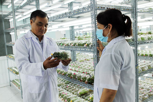 DẤN THÂN SÁNG TẠO (*): Bạn của nhà nông