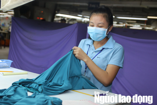 Mất việc do dịch Covid-19, người lao động được hưởng quyền lợi g&igrave;? - Ảnh 2.