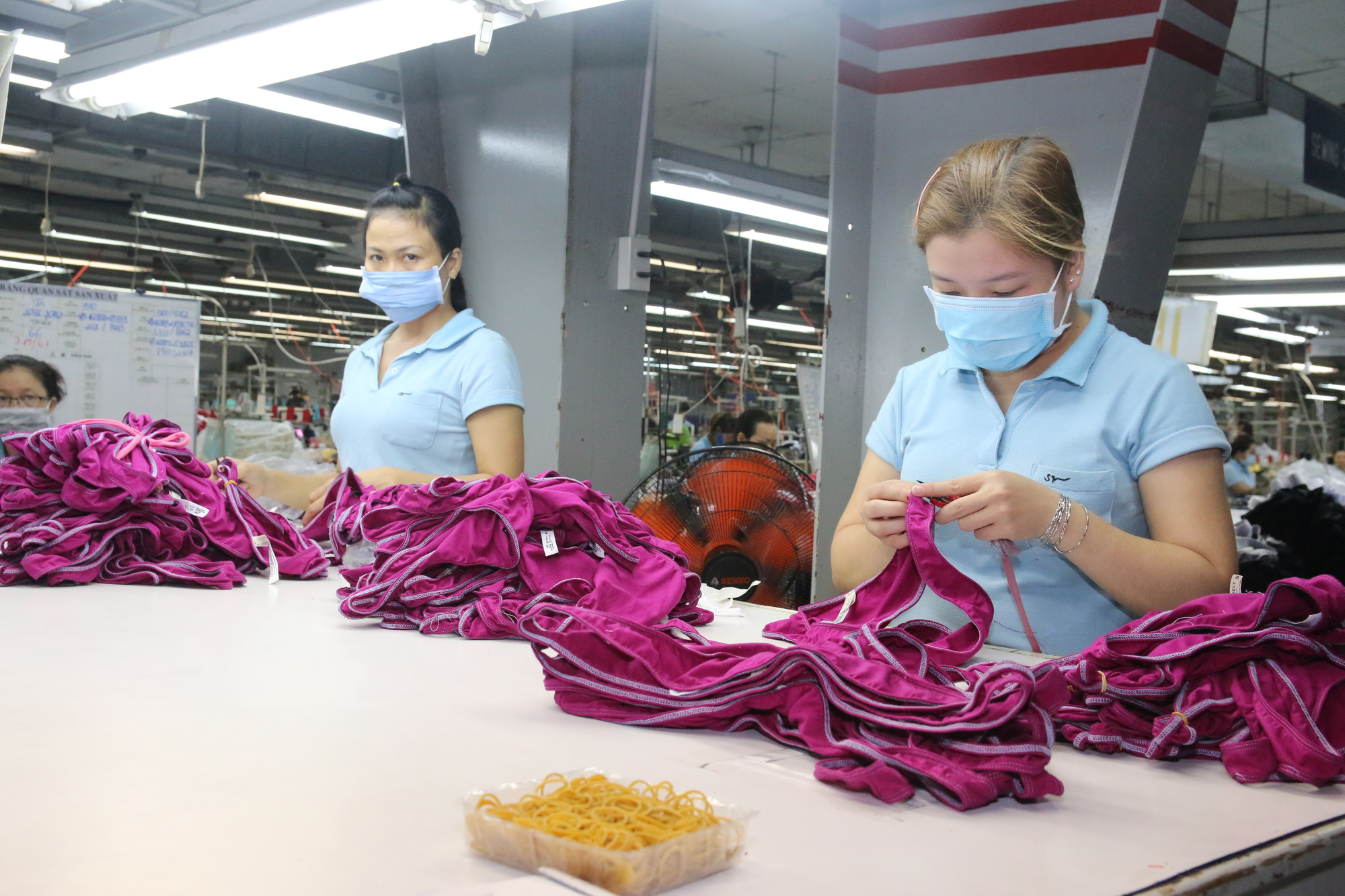Mất việc do dịch Covid-19, người lao động được hưởng quyền lợi g&igrave;? - Ảnh 3.