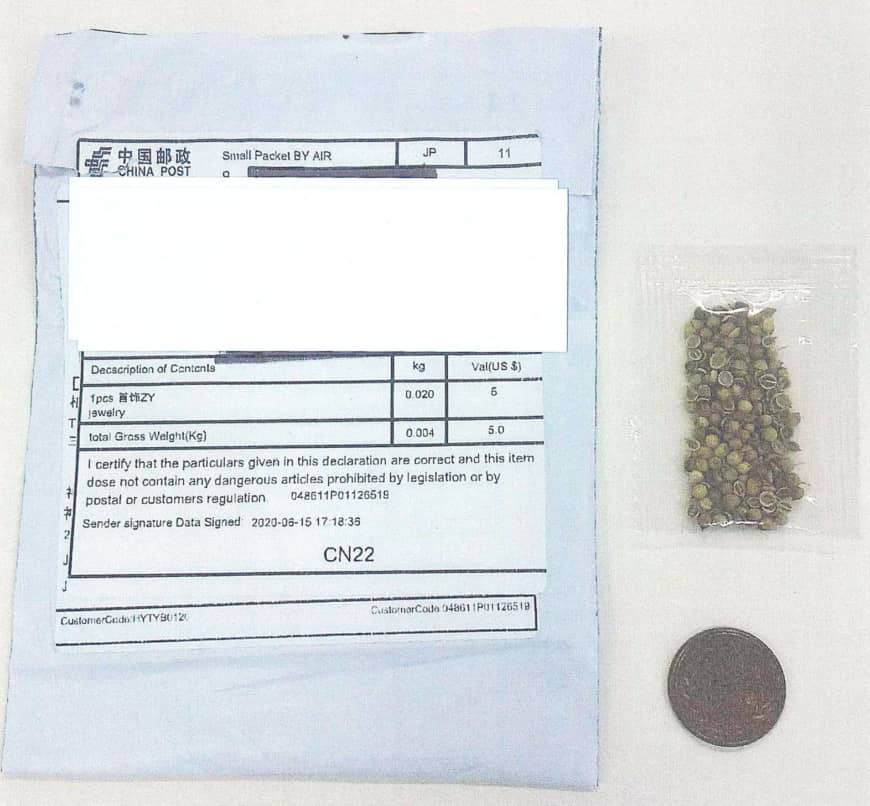 Nhật Bản, Ba Lan cũng nhận được hạt giống bí ẩn "từ Trung Quốc"