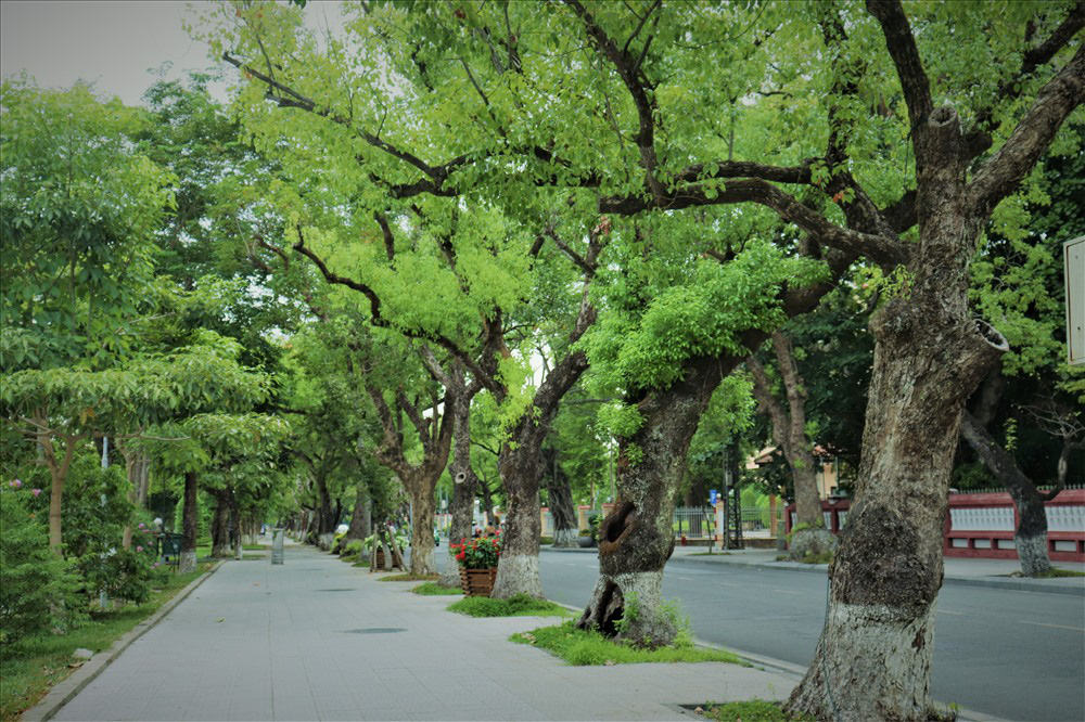 Huế làm mới vỉa hè đường Lê Lợi, có lãng phí? - Ảnh 9.