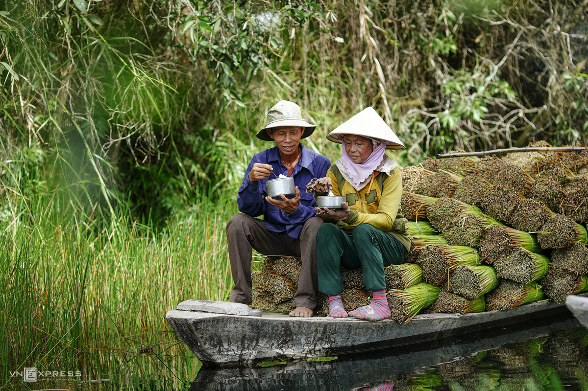 M&ugrave;a gặt cỏ b&agrave;ng miền T&acirc;y - Ảnh 6.