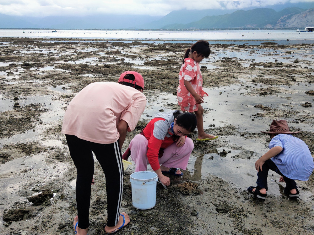 Con đường giữa biển thần kỳ ở Điệp Sơn