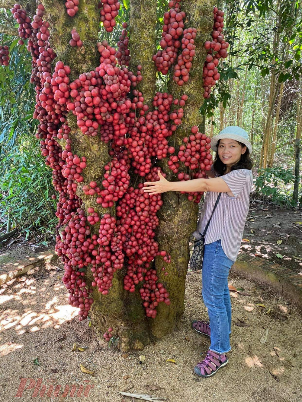 Có một Phú Yên như của ngày xưa - Ảnh 4.