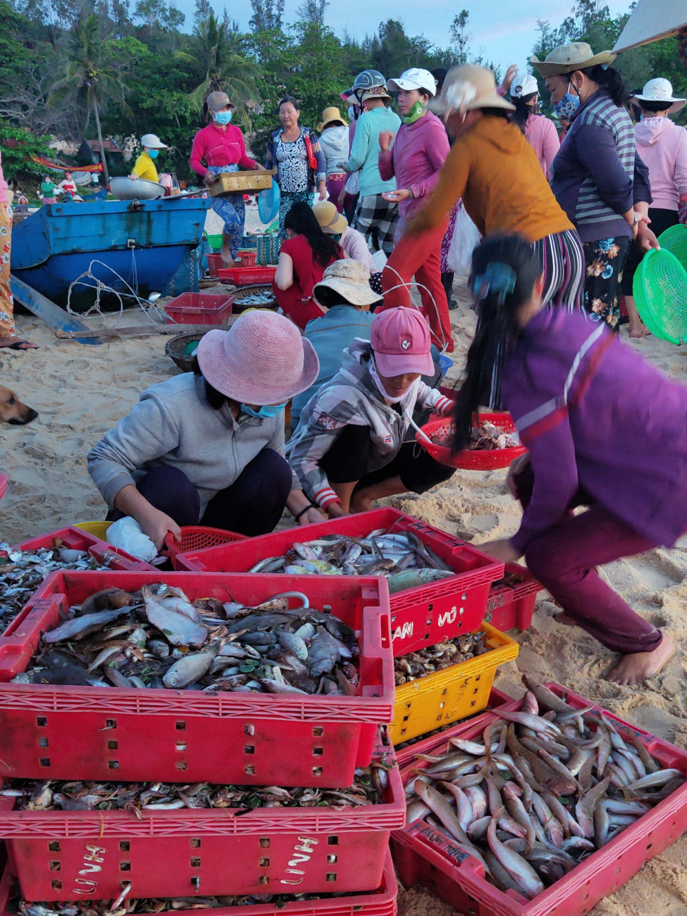 Có một Phú Yên như của ngày xưa