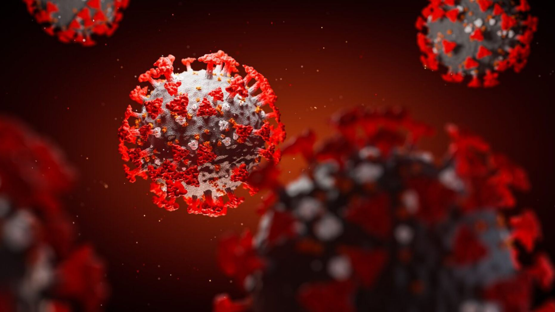 Phát hiện kháng thể "vô hiệu hóa" virus gây đại dịch Covid-19