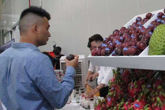Xuất khẩu cà phê sang EU tăng 34,7%