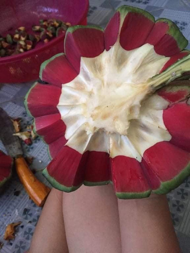 Na lạ ruột đỏ rực, đắt gấp 3 na thường h&uacute;t kh&aacute;ch - Ảnh 3.