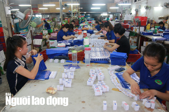 Trường hợp n&agrave;o được nhận BHXH một lần?  - Ảnh 1.