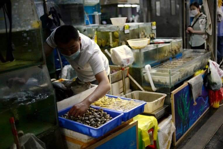 Trung Quốc phát hiện virus gây Covid-19 trên bao bì hải sản từ Indonesia
