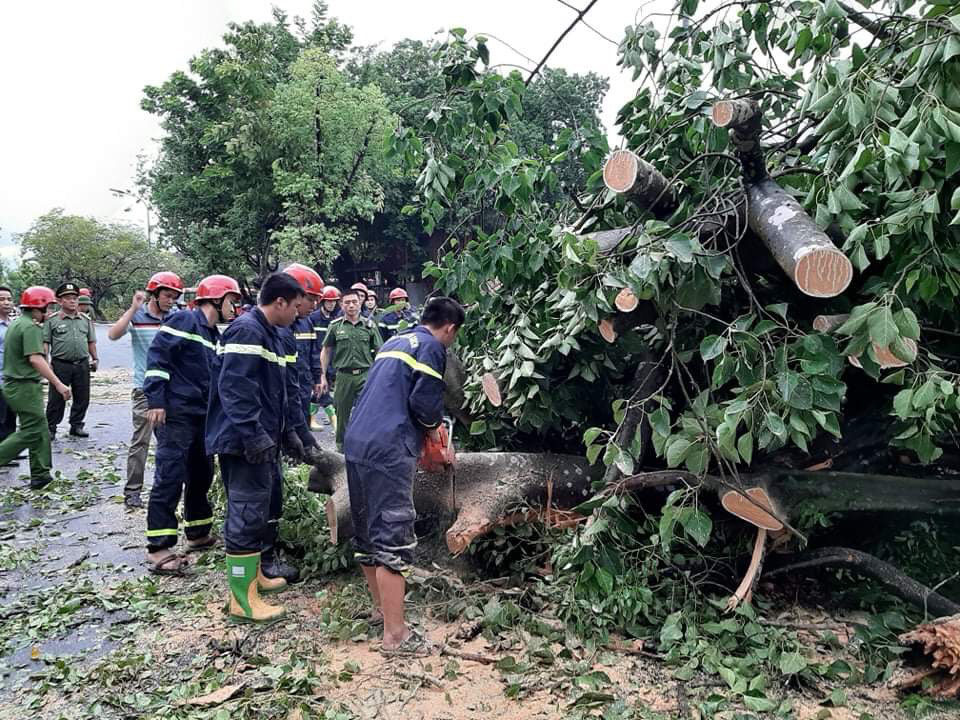 Nh&agrave; tốc m&aacute;i, c&acirc;y xanh, trạm điện g&atilde;y sập v&igrave; b&atilde;o số 5 - Ảnh 8.