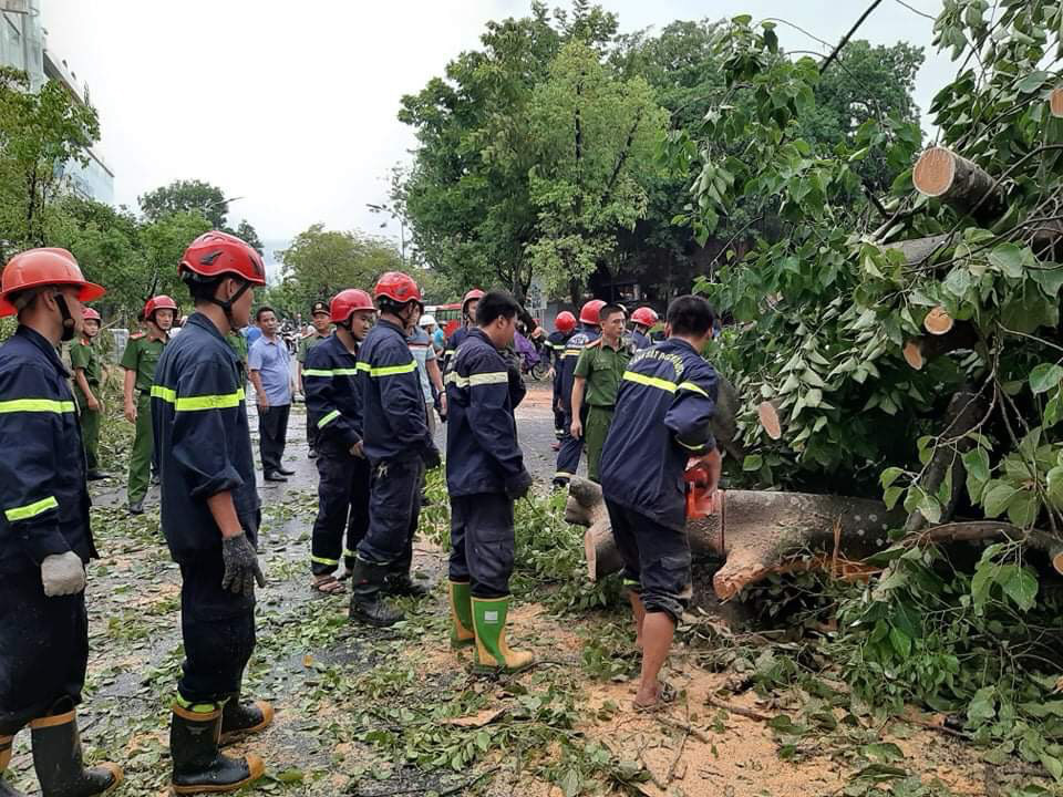 Nh&agrave; tốc m&aacute;i, c&acirc;y xanh, trạm điện g&atilde;y sập v&igrave; b&atilde;o số 5 - Ảnh 9.