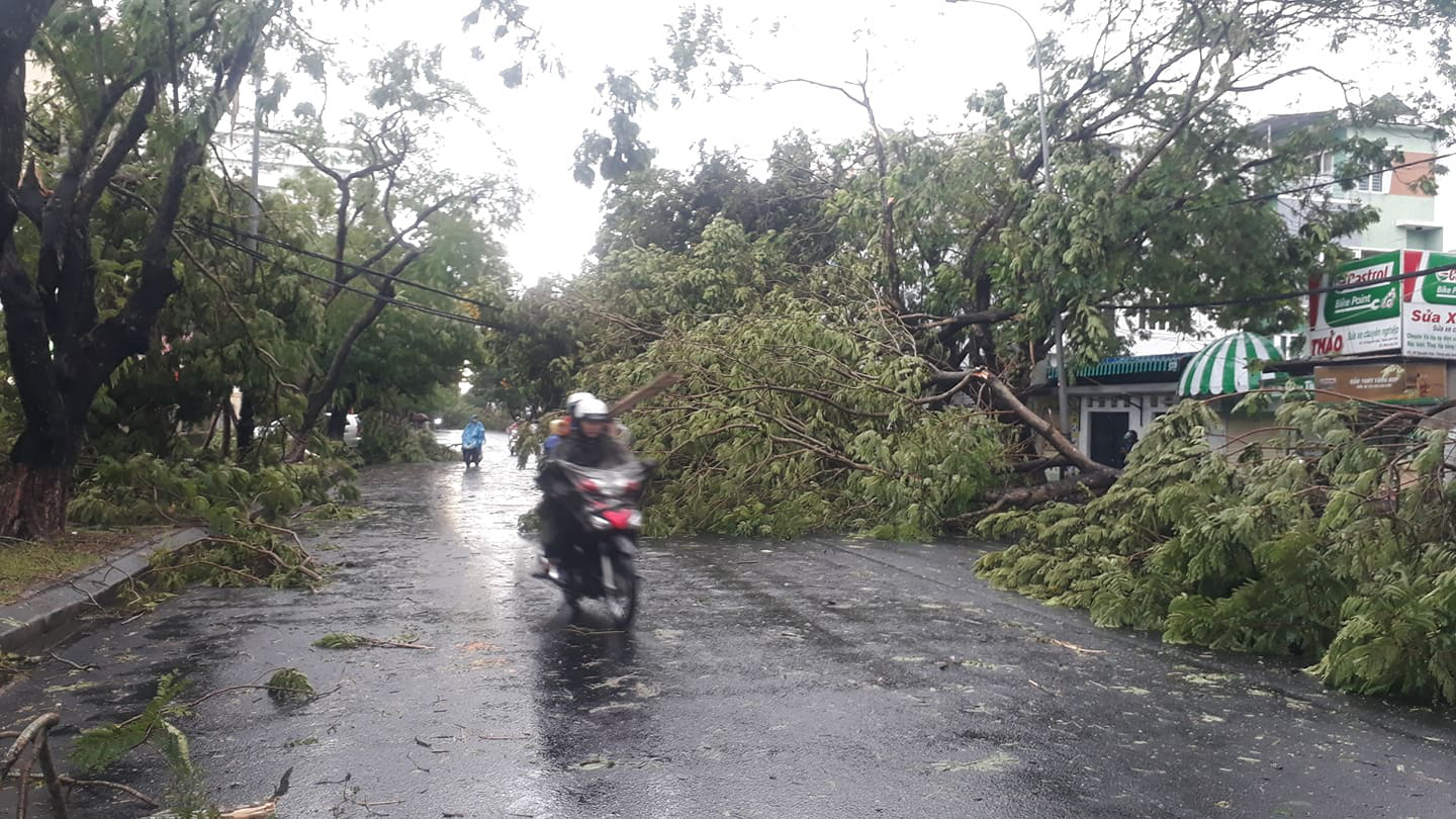 Nh&agrave; tốc m&aacute;i, c&acirc;y xanh, trạm điện g&atilde;y sập v&igrave; b&atilde;o số 5 - Ảnh 18.
