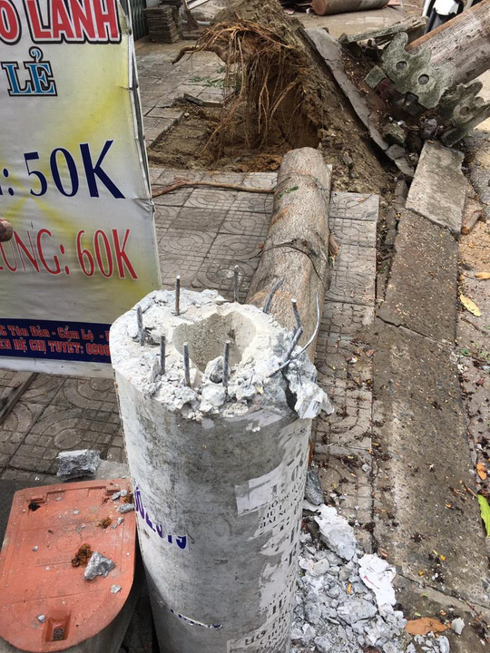 Điện lực Đà Nẵng lên tiếng về vụ cột điện bị gãy do ảnh hưởng bão số 5 - Ảnh 2.