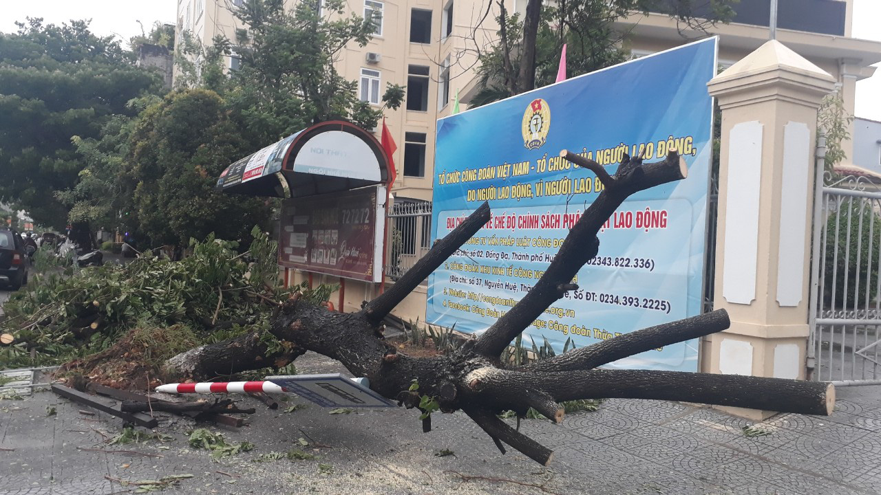 Nh&agrave; tốc m&aacute;i, c&acirc;y xanh, trạm điện g&atilde;y sập v&igrave; b&atilde;o số 5 - Ảnh 3.