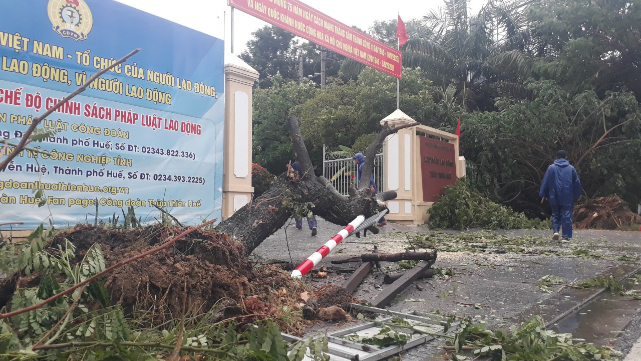 Nh&agrave; tốc m&aacute;i, c&acirc;y xanh, trạm điện g&atilde;y sập v&igrave; b&atilde;o số 5 - Ảnh 11.