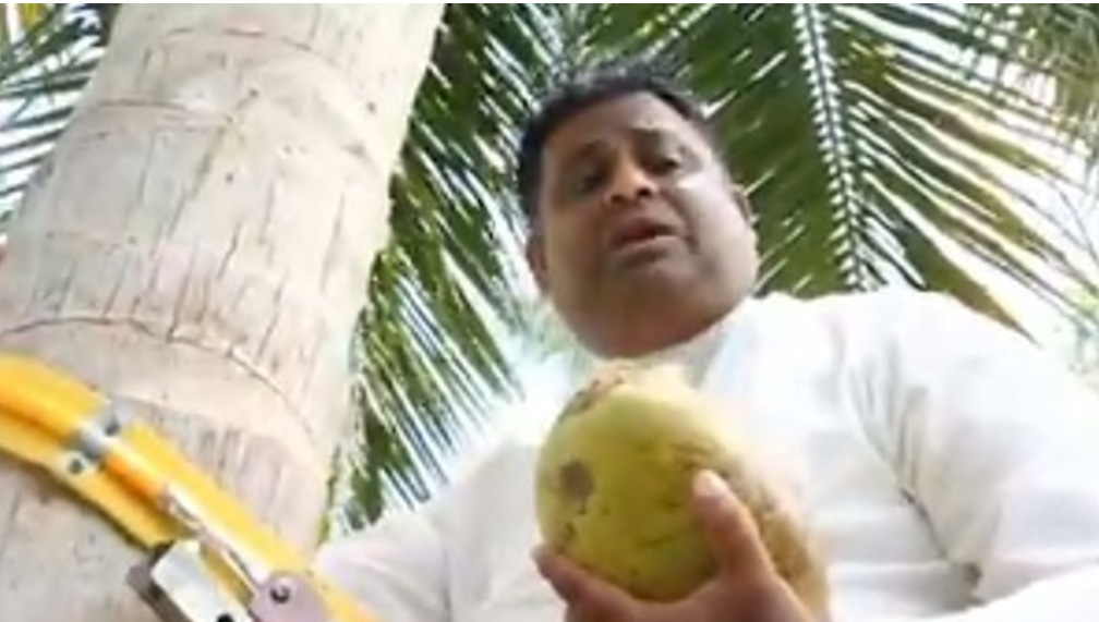 Bộ trưởng Sri Lanka leo cây dừa để... phát biểu