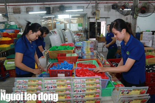 Th&ecirc;m trường hợp được tạm ho&atilde;n hợp đồng lao động từ đầu năm 2021 - Ảnh 1.