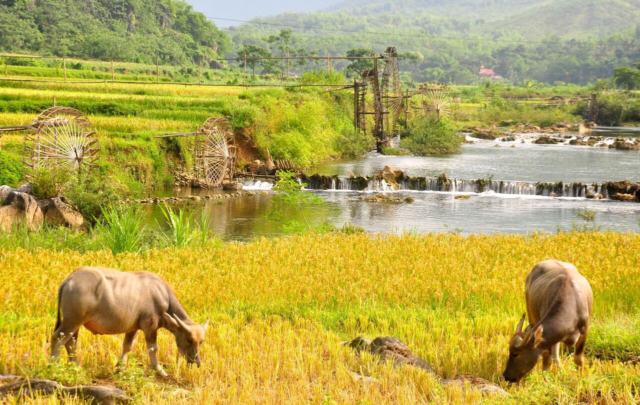M&ecirc; mẩn với P&ugrave; Lu&ocirc;ng của xứ Thanh - Ảnh 12.