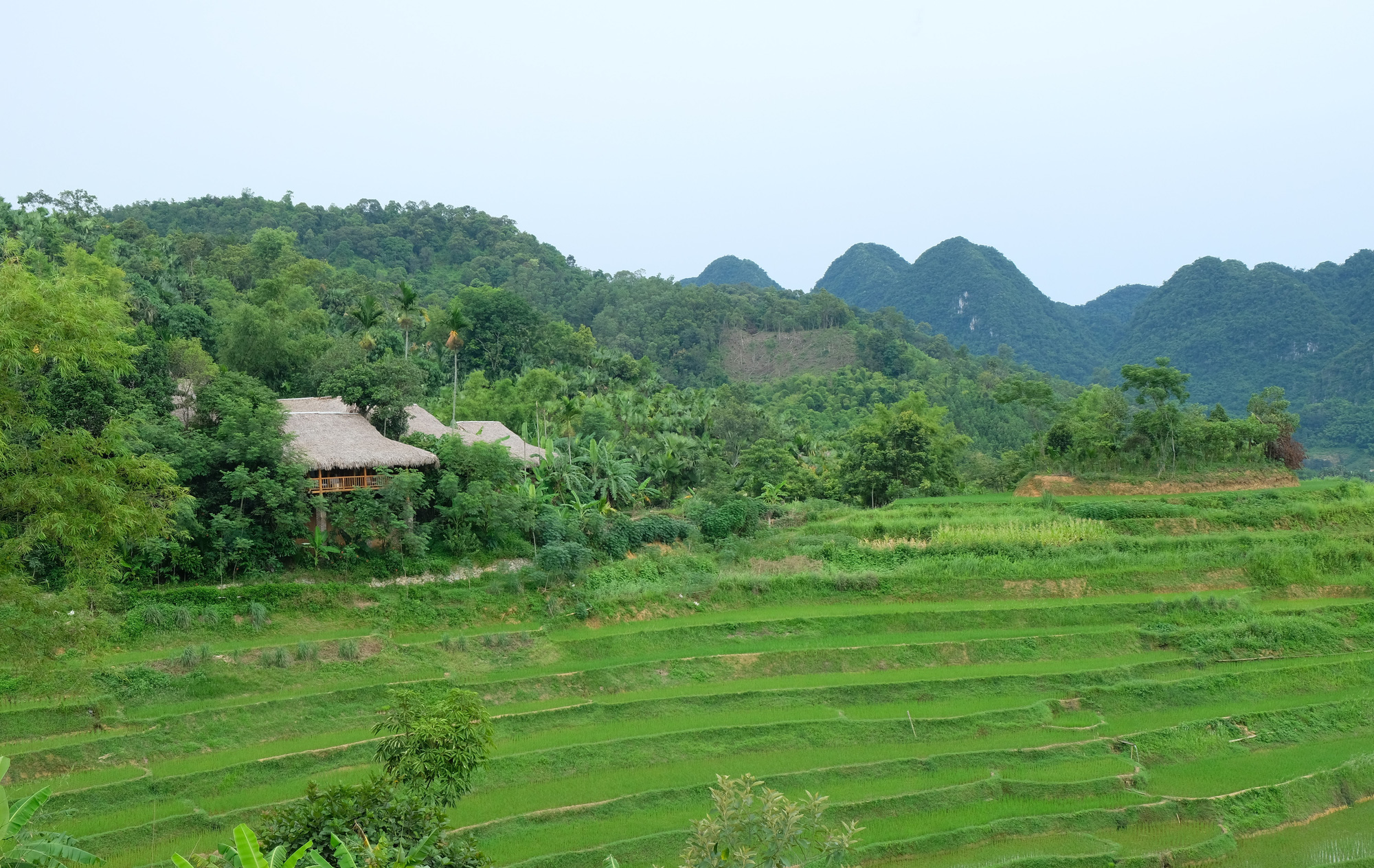 M&ecirc; mẩn với P&ugrave; Lu&ocirc;ng của xứ Thanh - Ảnh 11.