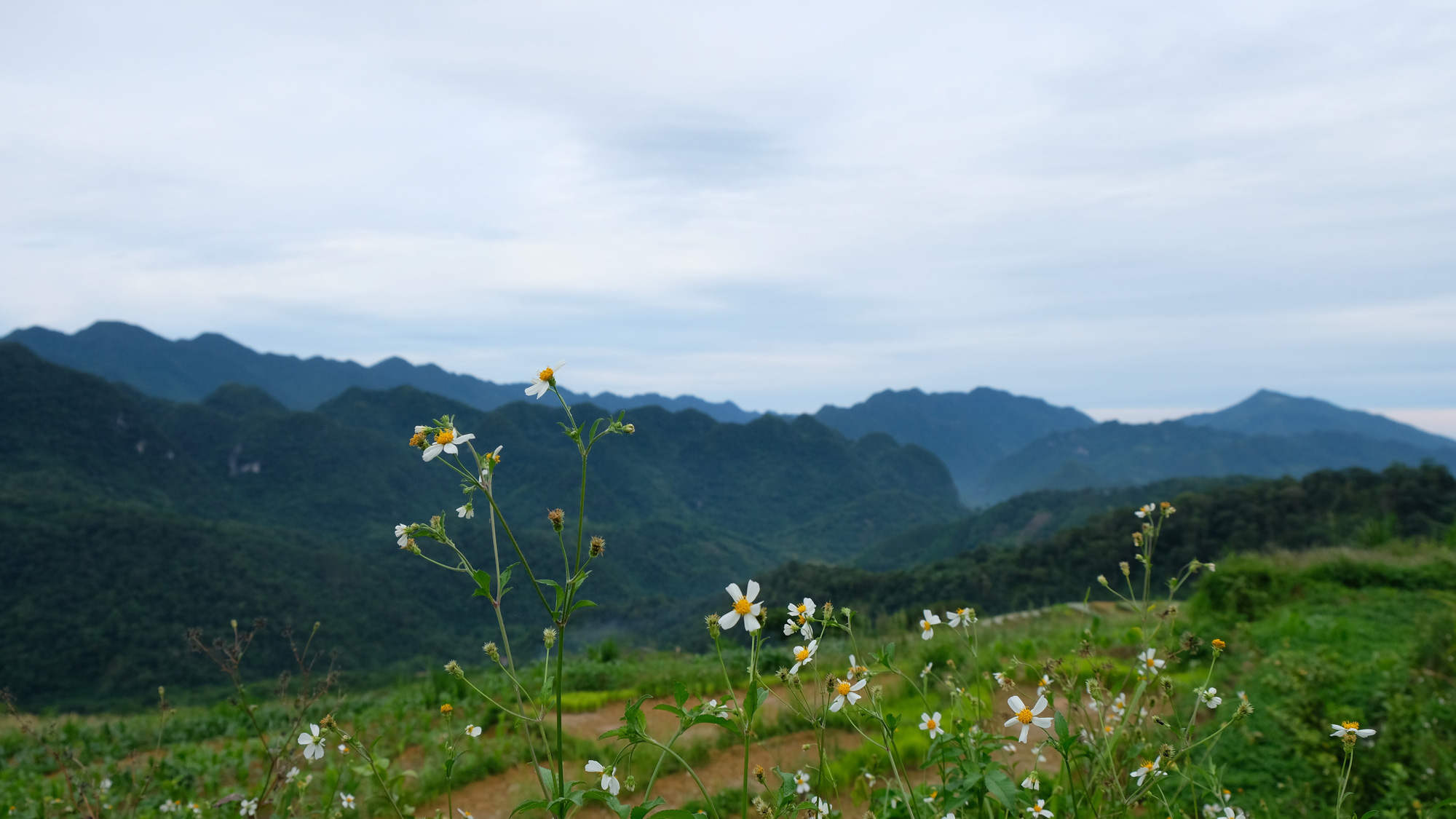 M&ecirc; mẩn với P&ugrave; Lu&ocirc;ng của xứ Thanh - Ảnh 7.