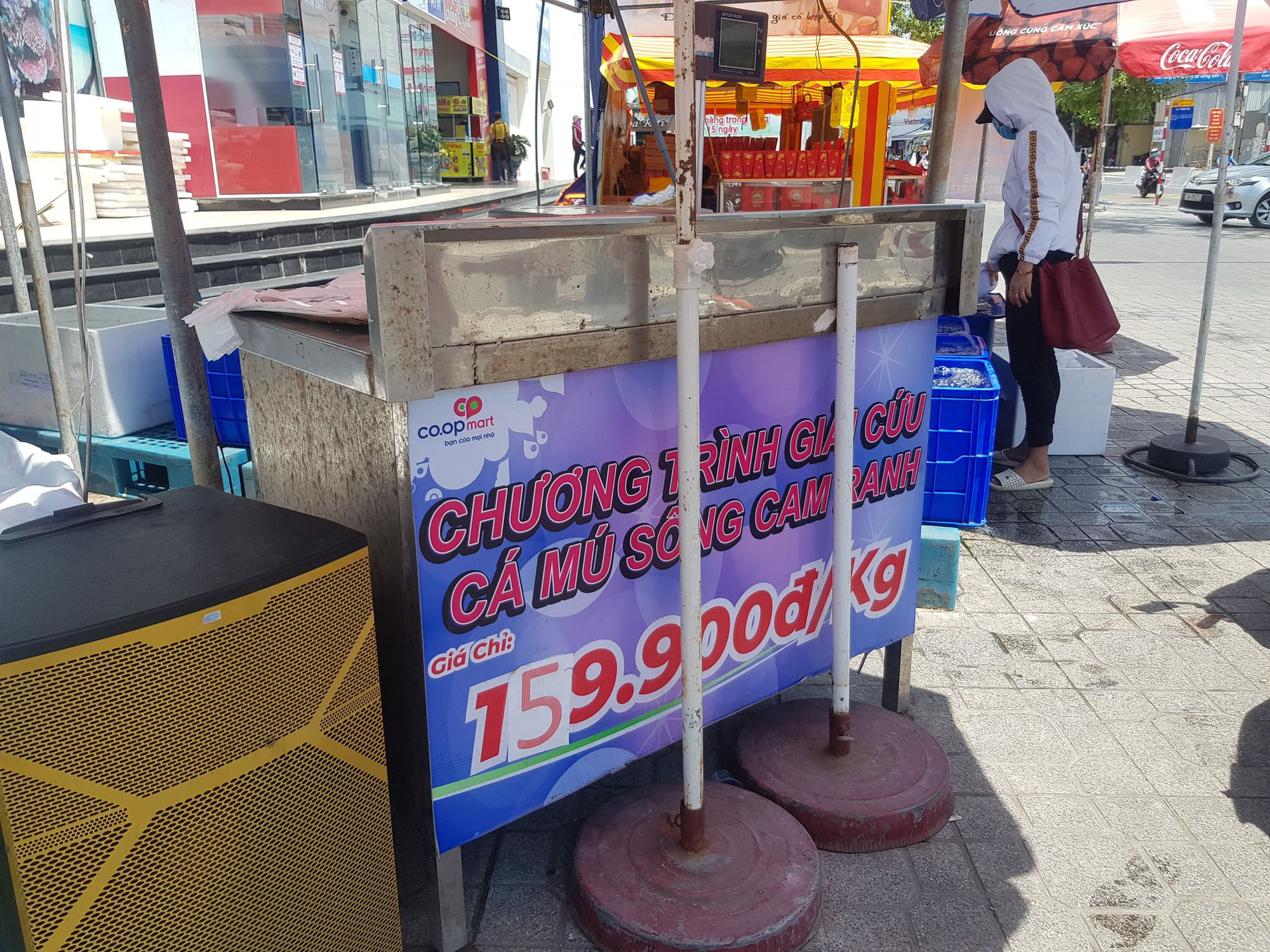 Cả ng&agrave;n tấn c&aacute; m&uacute; b&iacute; đầu ra, gi&aacute; giảm một nửa vẫn kh&oacute; giải cứu - Ảnh 1.