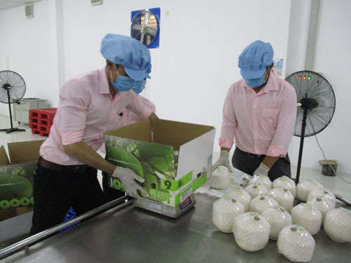Tín hiệu tích cực từ xuất khẩu