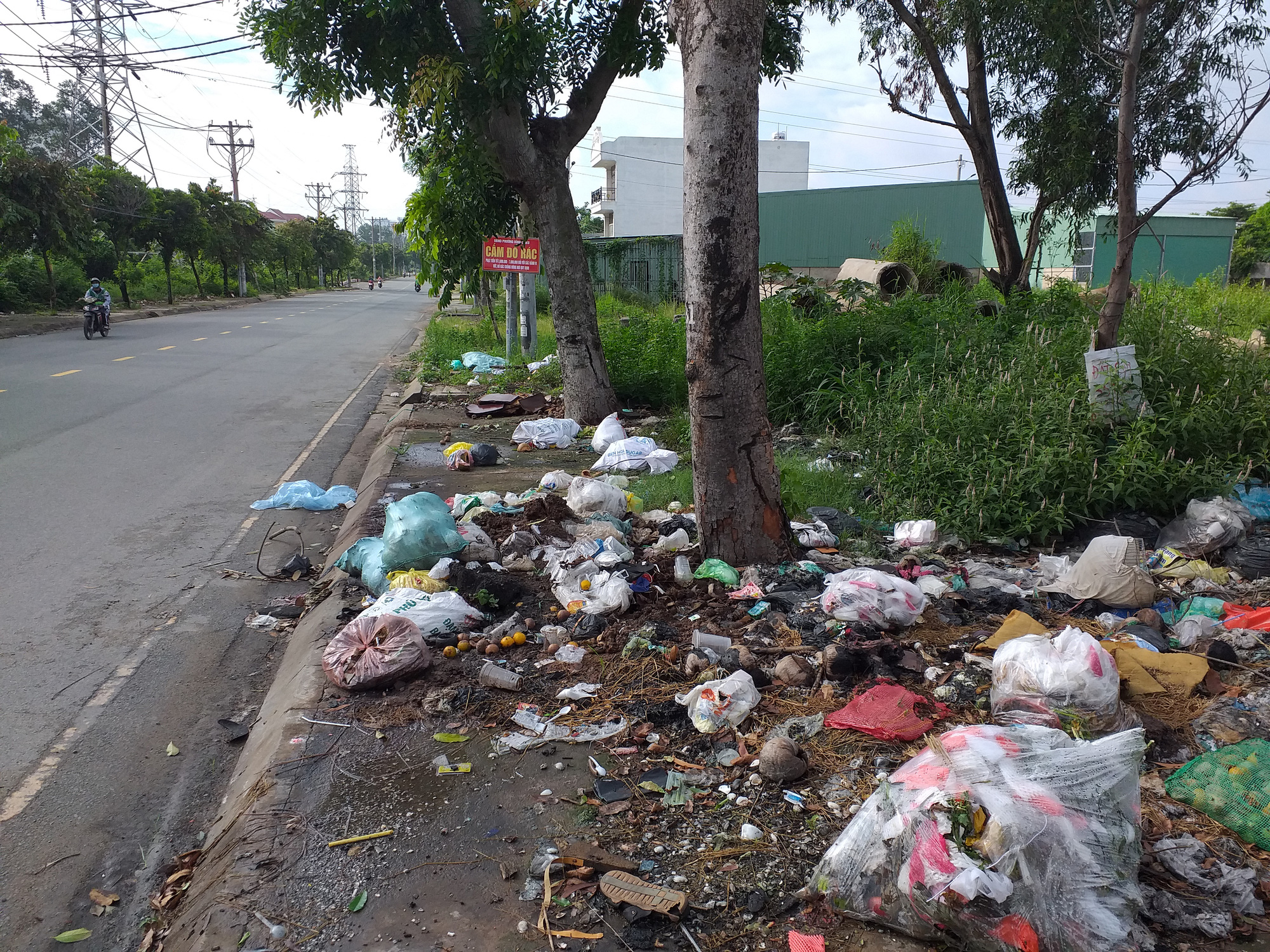 Gốc cây không phải là bãi rác