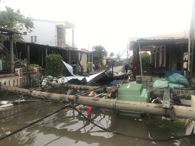Hàng trăm cột điện gãy trong bão số 5: Do cây xanh ngã đè