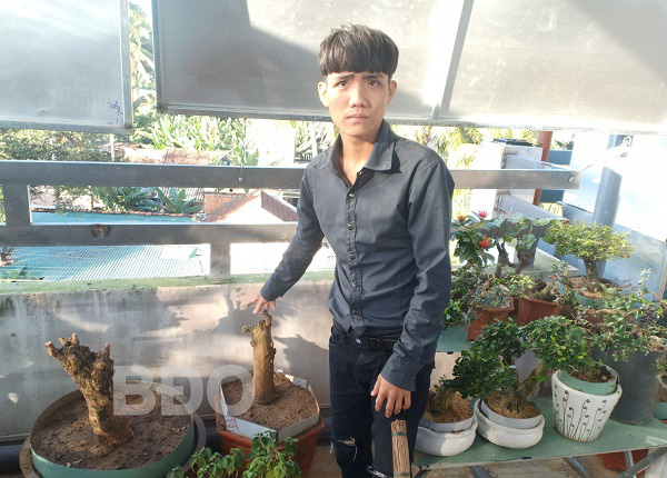 Truy tố nhóm đối tượng thực hiện 28 vụ trộm cây cảnh theo “đơn đặt hàng”