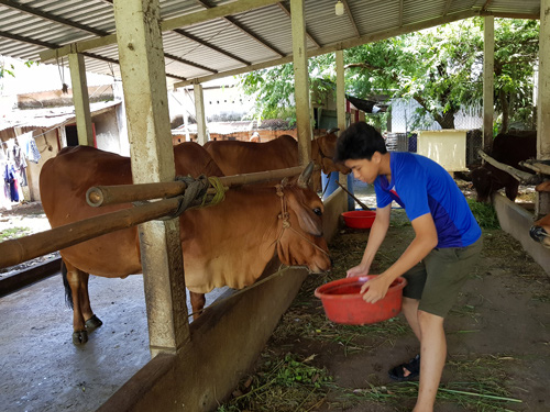 VIẾT TIẾP ƯỚC MƠ DANG DỞ (*): Điểm tựa tinh thần - Ảnh 2.